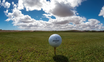 Ball Tee